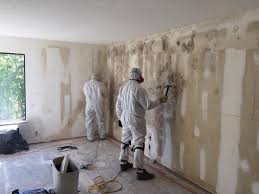 Best Attic Mold Removal  in Sunrise Manor, NV